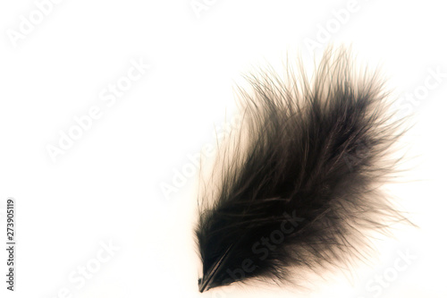 Beautiful abstract texture color orange and black feathers on the white isolated background and pattern wallpaper