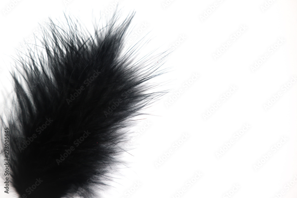 Beautiful abstract texture color gray and black feathers on the white isolated background and pattern wallpaper Beautiful abstract texture color gray and black feathers on the white isolated background and pattern wallpaper