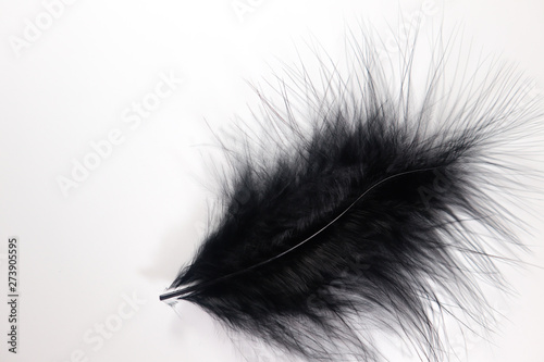 Beautiful abstract texture color gray and black feathers on the white isolated background and pattern wallpaper