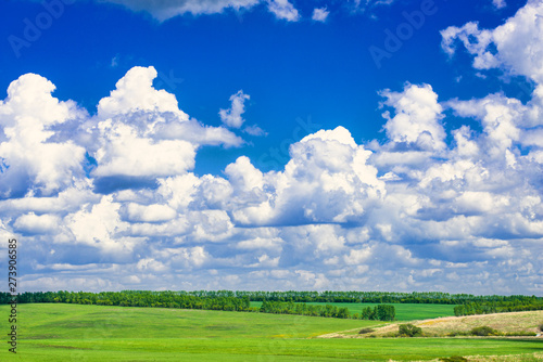 picturesque view of trees growing on green field with white fluffy clouds on blue sky at sunny day