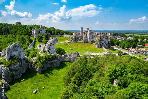 medieval castle ruins located in Ogrodzieniec, Poland © kbarzycki