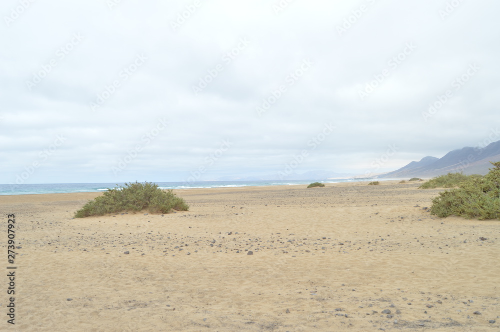 Wild Beach Of Cofete In The Natural Park Of Jandía On The Windward Coast Sand Peach Yellow And Brown. July 4, 2013. Cofete Jandia Fuerteventura Canary Islands. Landscapes, Nature Wild Beach Of Cofete In The Natural Park Of Jandía On The Windward Coast Sand Peach Yellow And Brown. July 4, 2013. Cofete Jandia Fuerteventura Canary Islands. Landscapes, Nature