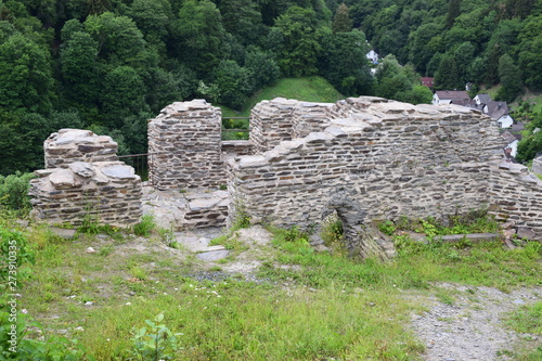 Ruine Isenburg photo