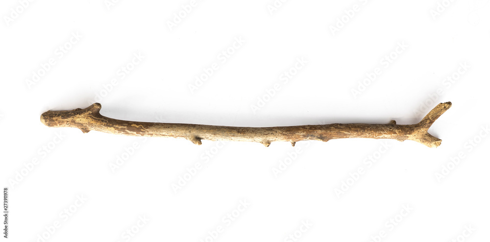 magic stick, wooden walking stick isolated on white background magic stick, wooden walking stick isolated on white background