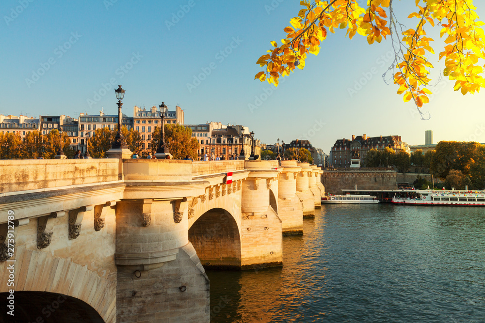 Pont Neuf, Paris, France - obrazy, fototapety, plakaty 