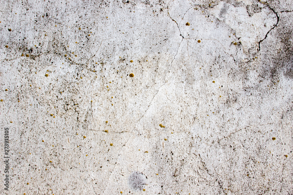 Empty old wall texture. Painted distressed wall surface. Grungy wide concrete wall. Grunge stonewall background. Shabby building facade with damaged plaster. Abstract web banner. Empty old wall texture. Painted distressed wall surface. Grungy wide concrete wall. Grunge stonewall background. Shabby building facade with damaged plaster. Abstract web banner.
