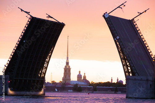 The bridges are erected at dawn in St. Petersburg. Peter Romance. Sight of Peter. Neva River. Dawn in the city. White Nights.