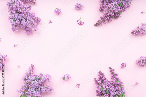 Lilac flowers on pink background, flat lay, top view