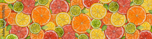 Watercolor citrus background. Paint  texture. Hand drawn oranges, lemons, limes, mandarins, grapefruits. Web banner. Bright watercolor stains     