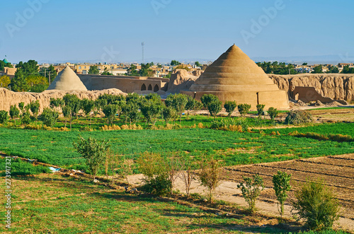 Yakhchal ice coolers in field, Kashan, Iran photo