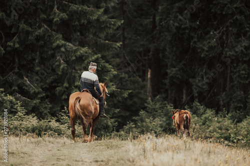 Cowboy riding horse in forest.