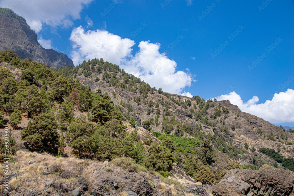 Barranco de las Angustias, La Palma Island, Canaries, Spain