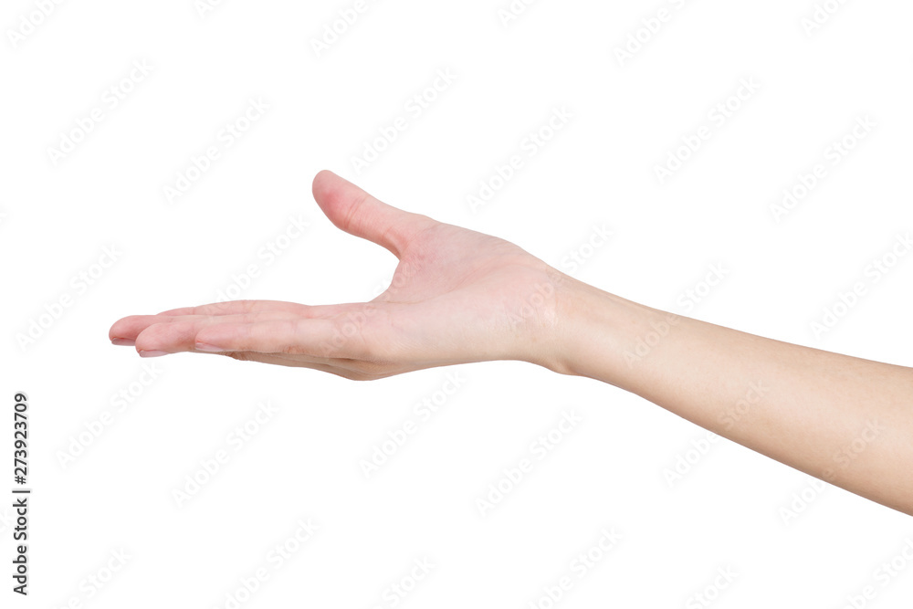 Woman empty hand holding with open space isolated on white background Woman empty hand holding with open space isolated on white background