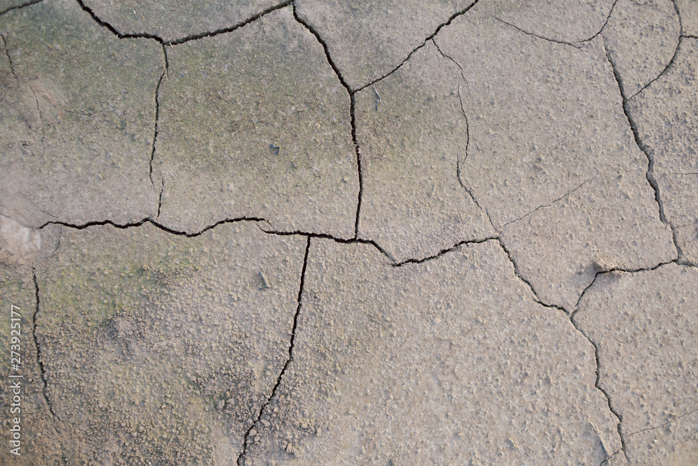 Obraz premium Cracked ground close up.