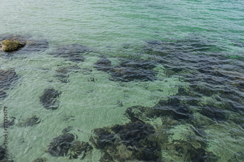 Fototapeta Naklejka Na Ścianę i Meble -  the calm sea, blue water texture with turquoise tones of the mediterranean sea on the island of Mallorca, Spain