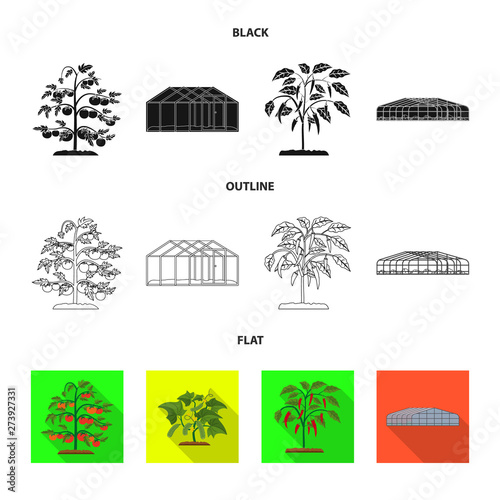 Vector design of greenhouse and plant logo. Set of greenhouse and garden stock symbol for web.