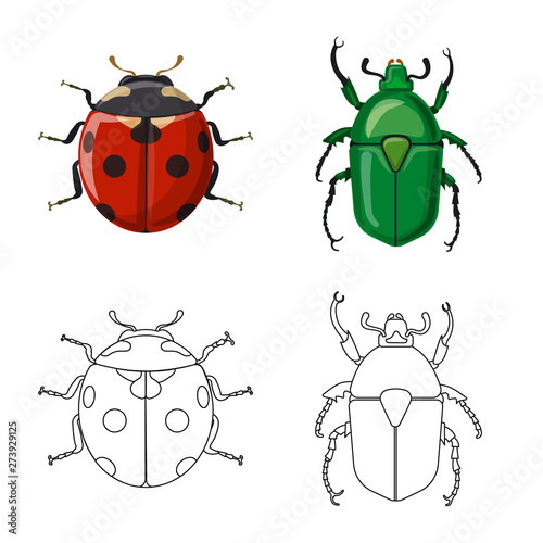 Isolated object of insect and fly logo. Set of insect and element stock symbol for web. © Svitlana