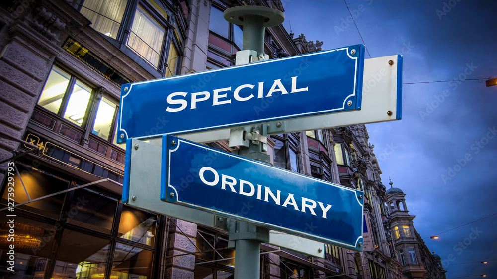 Street Sign Special versus Ordinary Street Sign Special versus Ordinary
