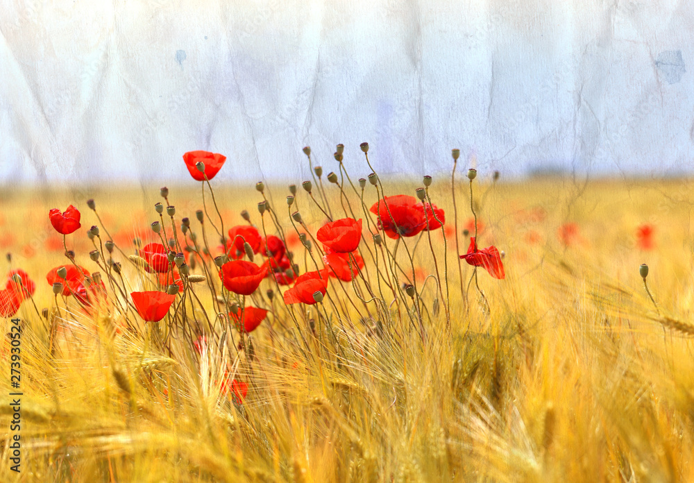 Naklejka premium Photo landscape of beautiful red poppies flowers on a field