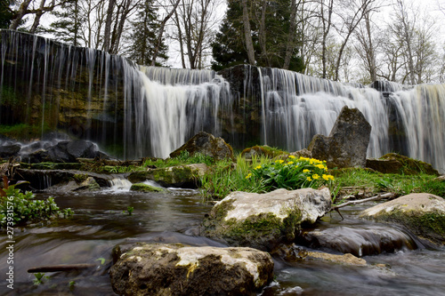 charming waterfall with spring flowers and stones