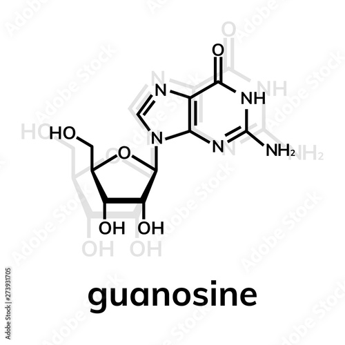 Guanosine chemical formula on white background