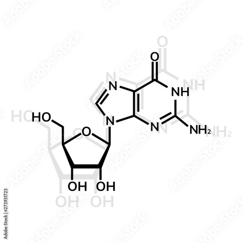 Guanosine chemical formula on white background