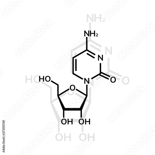 Cytidine chemical formula on white background photo