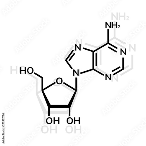 Adenosine chemical formula on white background