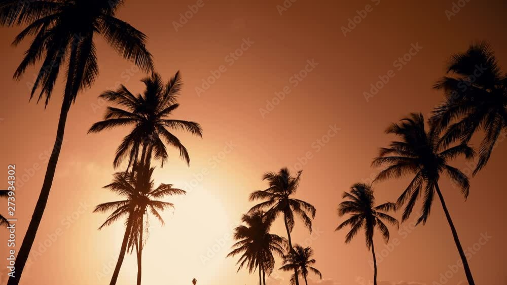 Yellow sunset palm trees and sky background. Amazing evening sky Hawaii. Palm trees against red sunset sky. Summer on a beautiful beach island. The big yellow sun sets over horizon. Hawaii palms beach Yellow sunset palm trees and sky background. Amazing evening sky Hawaii. Palm trees against red sunset sky. Summer on a beautiful beach island. The big yellow sun sets over horizon. Hawaii palms beach