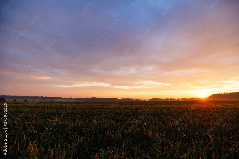 Sonnenuntergang Sun down field in Germany afer rain nach dem Regen