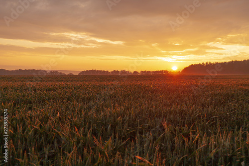 Sonnenuntergang warm Sun down field in Germany
