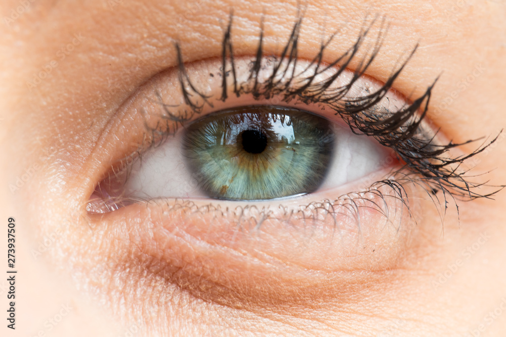 Obraz premium An extreme closeup view on the greenish blue eye of a beautiful young Caucasian woman, details of the iris are viewed, she wears black mascara and minimal makeup