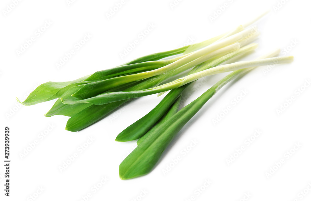 Fresh wild garlic or ramson isolated on white Fresh wild garlic or ramson isolated on white