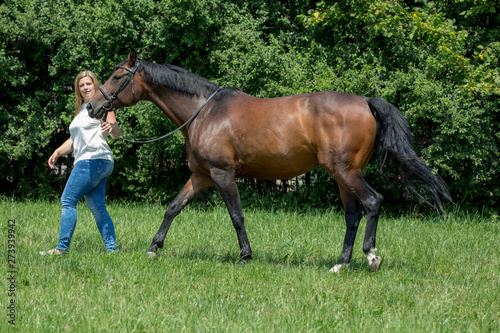 Schönes Pferd mit junger Besitzerin/Reiterin