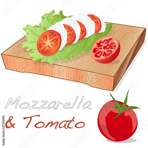 Vector illustration of mozzarella, cherry tomatoes - ingredients for caprese salad on plate. Isolated.