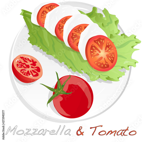 Vector illustration of mozzarella, cherry tomatoes - ingredients for caprese salad on plate. Isolated.