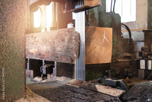 Sawmill. Process of cutting wood tree trunk into planks for woodworking carpentry industry.