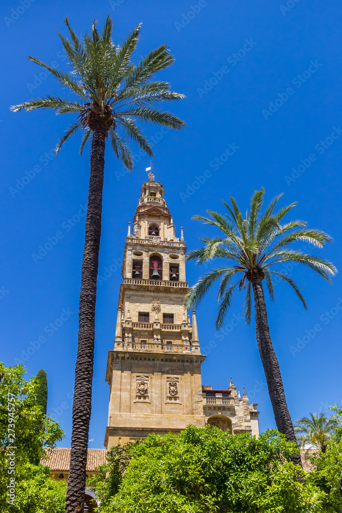 Palm trees and belfry of the mosque cathedral in Cordoba, Spain