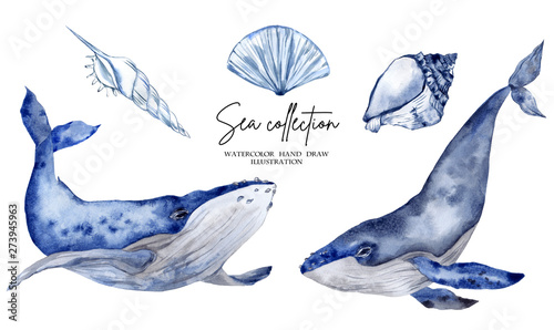 Watercolor illustration with blue whale isolated on white background