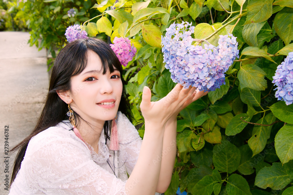 Fototapeta premium アジサイに触れる女性