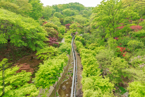 Photos Single monorail track through the forest
