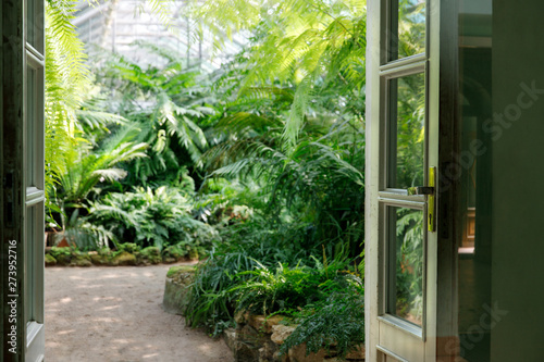 Valokuva View to the open green door and blurred greenhouse with various ferns, palms and other tropical plants in sunny day
