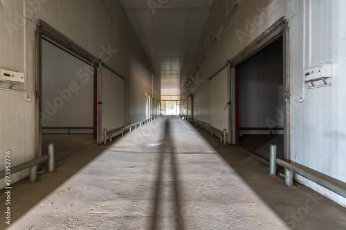Empty hangar for fruits and vegetables in storage stock. production warehouse. Plant Industry © hiv360