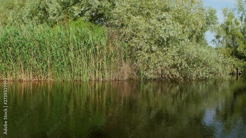 Danube Delta wetlands in motion Danube Delta wetlands in motion