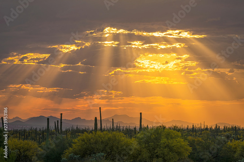 Arizona Orange Sunset With God Rays & Saguaro Cactus In Foreground In Southern Arizona