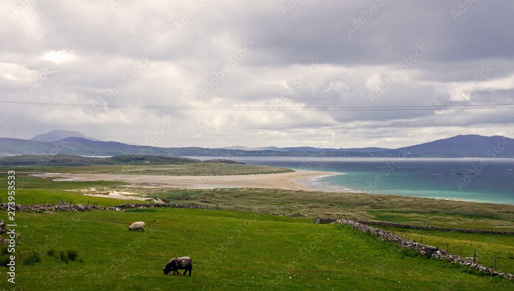 County Mayo, Louisburh