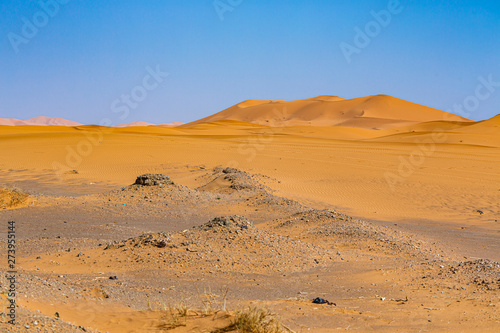 Sahara desert in Mergouza region east Morocco