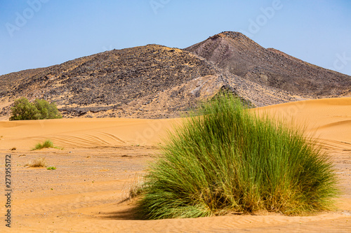 Sahara desert in Mergouza region east Morocco
