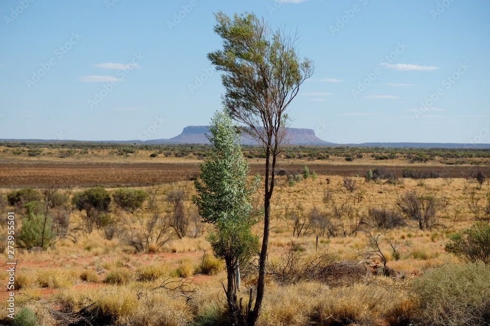 Obraz premium Table top mountain Conner in outback on the horizon, sunny day in Northern Territory Australia