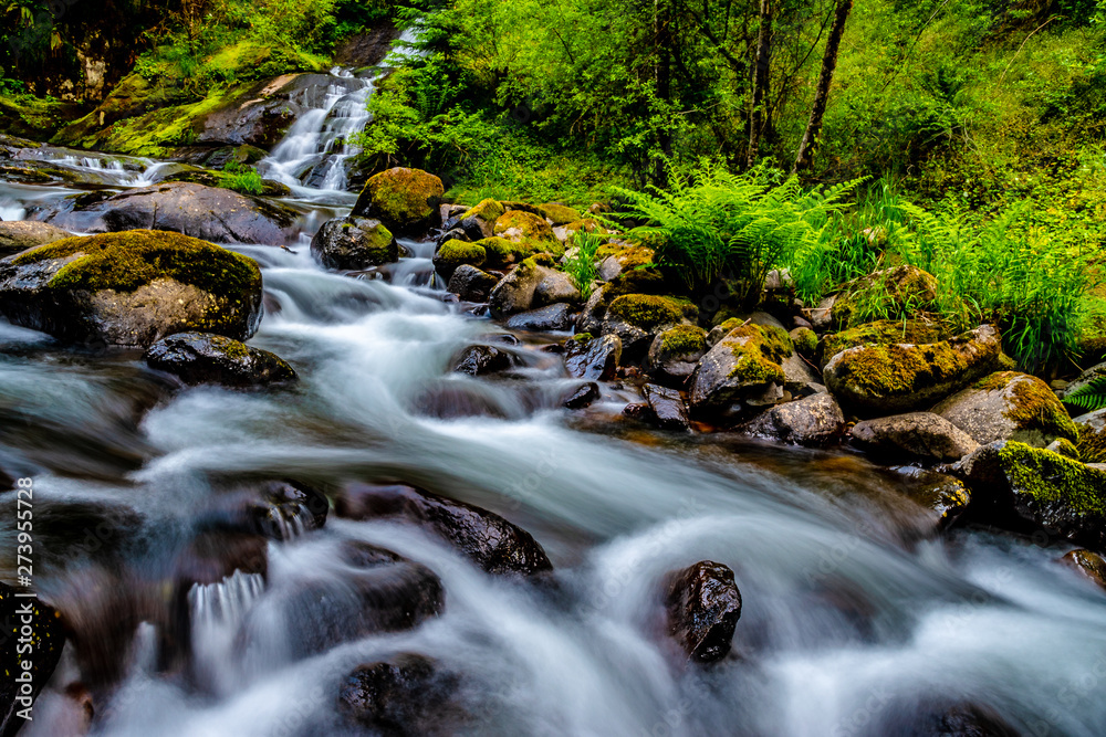 Beautiful Sunset Hike Up Sweet Creek Falls in Oregon